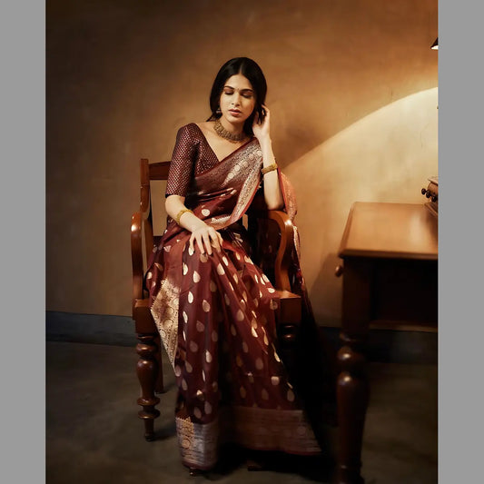 Graceful Deep Maroon Banarasi Silk Elegance