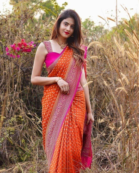 Orange Saree with Stunning Pink Patta - Outfit Odessey