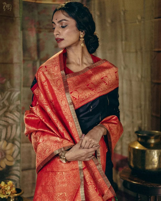 Black and Red Banarasi Saree, Indian Traditional Woman's Saree